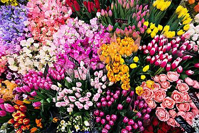 《潜行者2》预售开启 Steam国区标准版定价299元